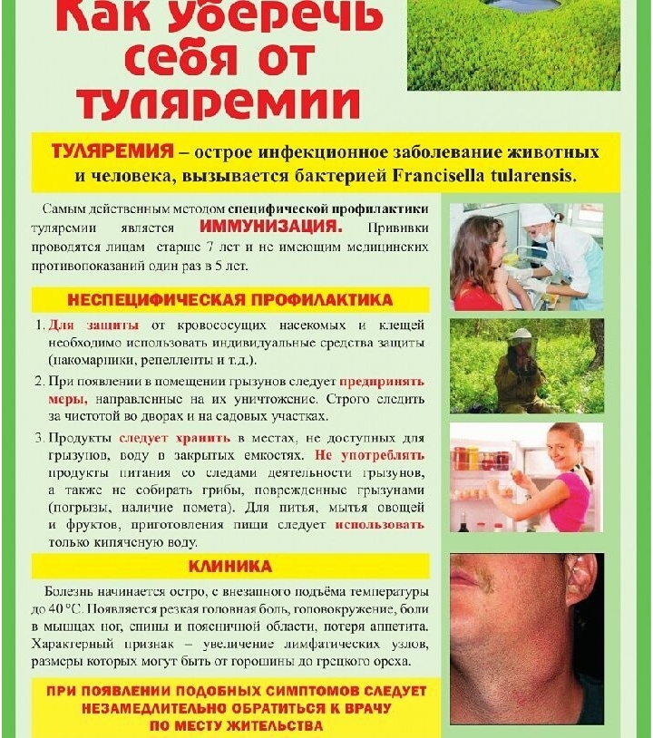 Tulyaremiya 2